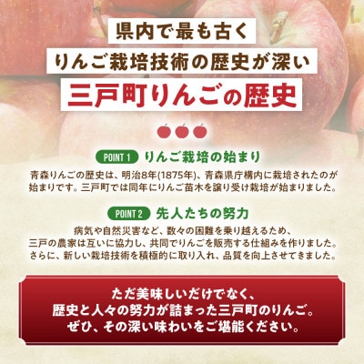 りんご「サンふじ」12～20玉(約5kg)【2025年産・先行予約】12月上旬～1月下旬発送予定