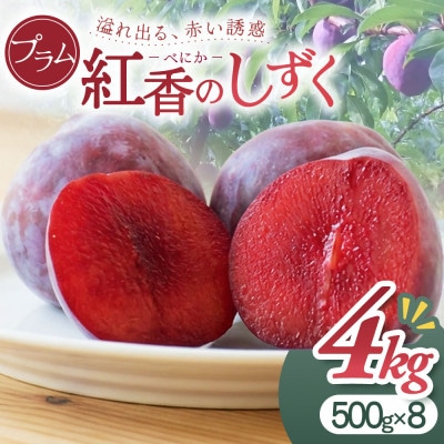 プラム『紅香のしずく』500g×8パック