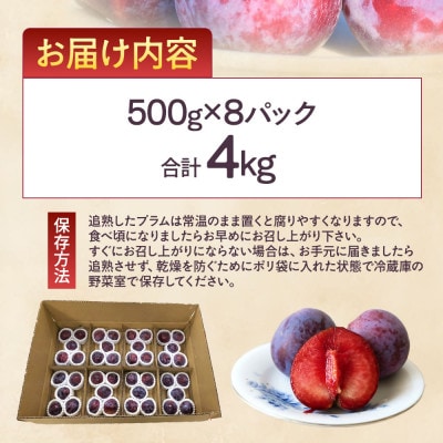 プラム『紅香のしずく』500g×8パック
