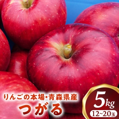 りんご【つがる】約5kg(12～20玉)【2025年産・先行予約】9月上旬～9月下旬頃まで発送予定
