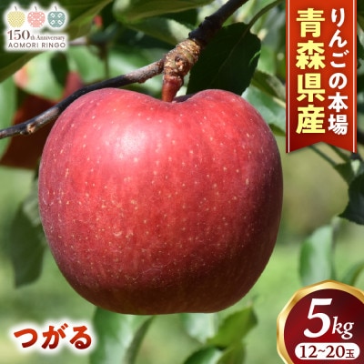 りんご【つがる】約5kg(12～20玉)【2025年産・先行予約】9月上旬～9月下旬頃まで発送予定