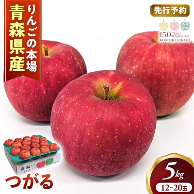 りんご【つがる】約5kg(12～20玉)【2026年産・先行予約】9月上旬～9月下旬頃まで発送予定