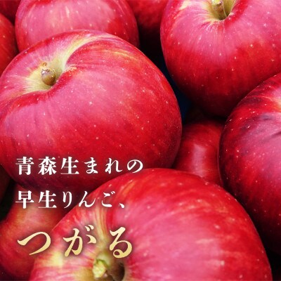 りんご【つがる】約5kg(12～20玉)【2025年産・先行予約】9月上旬～9月下旬頃まで発送予定