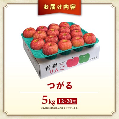 りんご【つがる】約5kg(12～20玉)【2025年産・先行予約】9月上旬～9月下旬頃まで発送予定