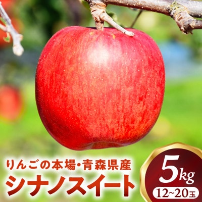りんご【シナノスイート】約5kg(12～20玉)【2025年産・先行予約】10月中旬～11月中旬頃発