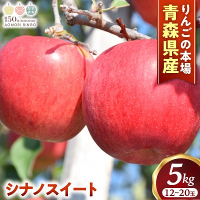 りんご【シナノスイート】約5kg(12～20玉)【2025年産・先行予約】10月中旬～11月中旬頃発