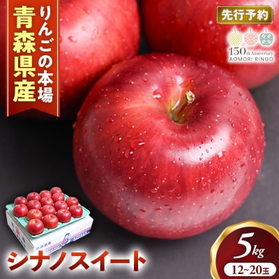 りんご【シナノスイート】約5kg(12～20玉)【2026年産・先行予約】10月中旬～11月中旬頃発