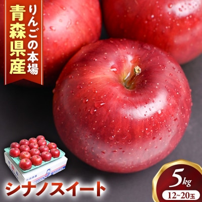 りんご【シナノスイート】約5kg(12～20玉)【2026年産・先行予約】10月中旬～11月下旬頃発