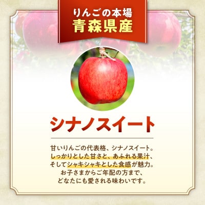 りんご【シナノスイート】約5kg(12～20玉)【2025年産・先行予約】10月中旬～11月中旬頃発