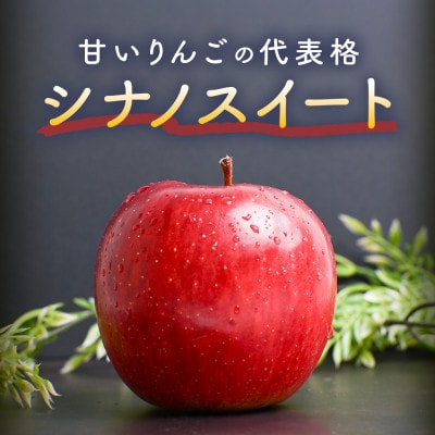 りんご【シナノスイート】約5kg(12～20玉)【2025年産・先行予約】10月中旬～11月中旬頃発