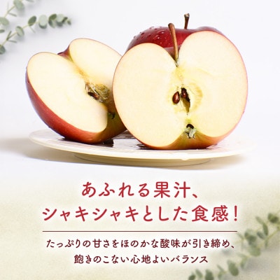 りんご【シナノスイート】約5kg(12～20玉)【2025年産・先行予約】10月中旬～11月中旬頃発