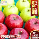 りんご【サンふじ&王林】セット 約5kg(12～20玉)【2025年産・先行予約】12月上～下旬発送