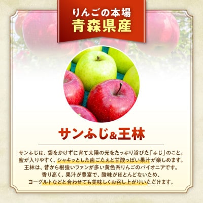 りんご【サンふじ&王林】セット 約5kg(12～20玉)【2025年産・先行予約】12月上～下旬発送