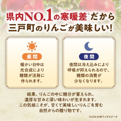りんご【サンふじ&王林】セット 約5kg(12～20玉)【2025年産・先行予約】12月上～下旬発送