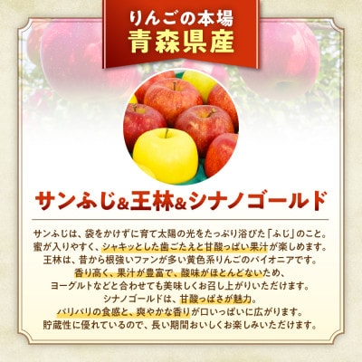 りんご【サンふじ&王林&シナノゴールド】セット 約5kg(14～18玉)