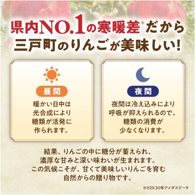 りんご【サンふじ&王林&シナノゴールド】セット 約5kg(14～18玉)