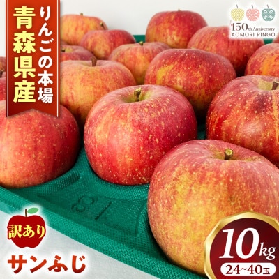 【訳あり】りんご【サンふじ】約10kg(24～40玉)【2025年産・先行予約】