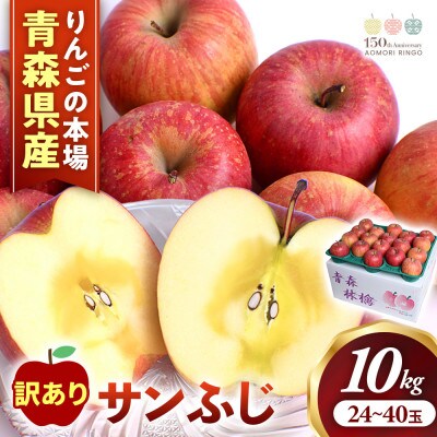 【訳あり】りんご【サンふじ】約10kg(24～40玉)【2026年産・先行予約】1月～2月頃発送予定