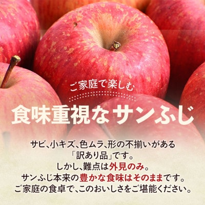 【訳あり】りんご【サンふじ】約10kg(24～40玉)【2025年産・先行予約】