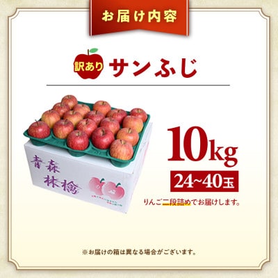 【訳あり】りんご【サンふじ】約10kg(24～40玉)【2025年産・先行予約】