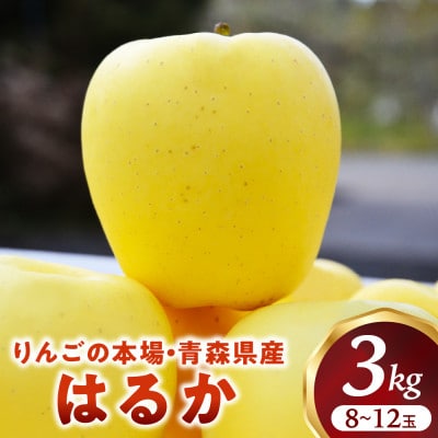 蜜センサー選別高級りんご【はるか】約3kg(8～12玉)【2025年産・先行】12月上～1月中旬発送