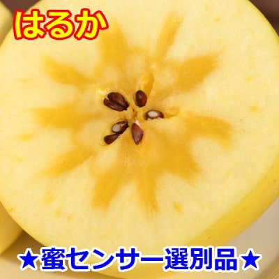 ★蜜センサー選別品★高級りんご【はるか】約3kg(8～12玉)【2025年産・先行予約】