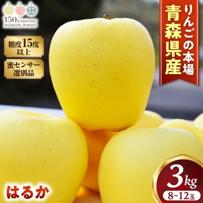 蜜センサー選別高級りんご【はるか】約3kg(8～12玉)【2025年産・先行】12月上～1月中旬発送