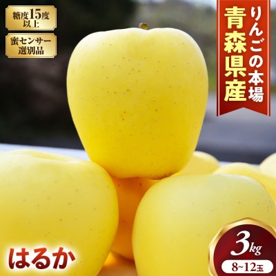 蜜センサー選別高級りんご【はるか】約3kg(8～12玉)【2026年産・先行】12月上～1月上旬発送