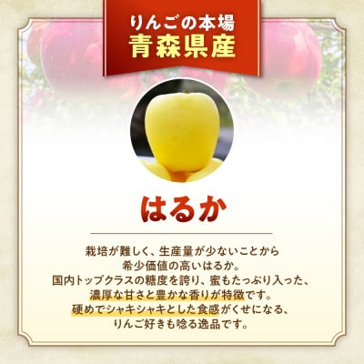 蜜センサー選別高級りんご【はるか】約3kg(8～12玉)【2025年産・先行】12月上～1月中旬発送