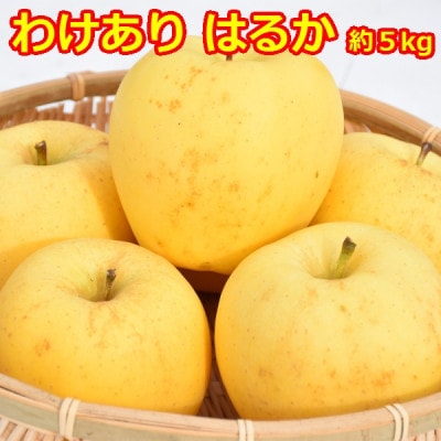 【訳あり】高級りんご【はるか】約5kg(12～20玉)【2025年産・先行予約】