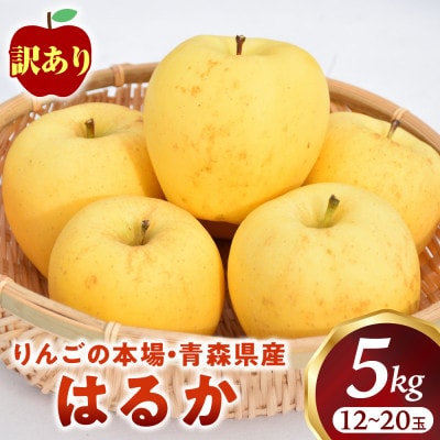 【訳あり 高級りんご【はるか】約5kg(12～20玉)2025年産・先行予約】12月上～1月中旬発送