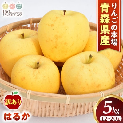【訳あり 高級りんご【はるか】約5kg(12～20玉)2025年産・先行予約】12月上～1月中旬発送