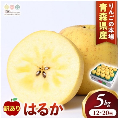 【訳あり 高級りんご【はるか】約5kg(12～20玉)2025年産・先行予約】12月上～1月中旬発送