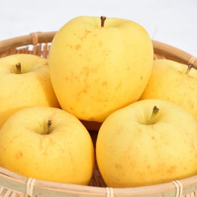 【訳あり】高級りんご【はるか】約5kg(12～20玉)【2025年産・先行予約】