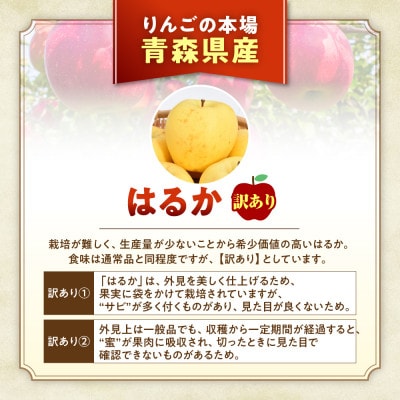 【訳あり 高級りんご【はるか】約5kg(12～20玉)2025年産・先行予約】12月上～1月中旬発送