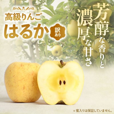 【訳あり 高級りんご【はるか】約5kg(12～20玉)2025年産・先行予約】12月上～1月中旬発送