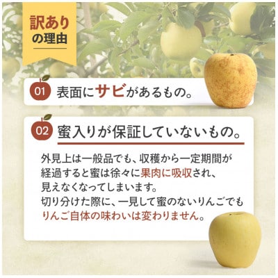【訳あり 高級りんご【はるか】約5kg(12～20玉)2025年産・先行予約】12月上～1月中旬発送