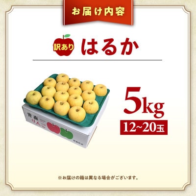【訳あり 高級りんご【はるか】約5kg(12～20玉)2025年産・先行予約】12月上～1月中旬発送