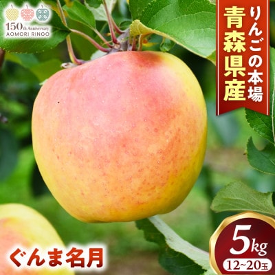 りんご【ぐんま名月】約5kg(12～20玉)【2025年産・先行予約】11月上旬～12月下旬頃発送