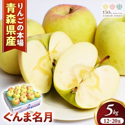 りんご【ぐんま名月】約5kg(12～20玉)【2025年産・先行予約】11月上旬～12月下旬頃発送