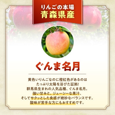 りんご【ぐんま名月】約5kg(12～20玉)【2025年産・先行予約】11月上旬～12月下旬頃発送