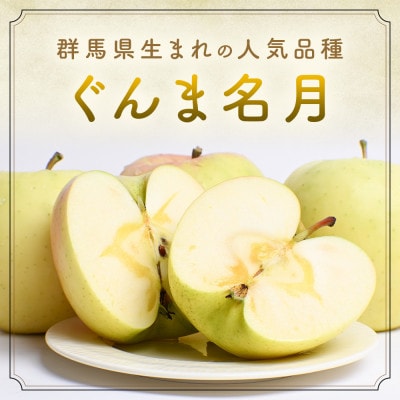 りんご【ぐんま名月】約5kg(12～20玉)【2025年産・先行予約】11月上旬～12月下旬頃発送