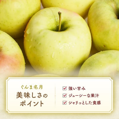 りんご【ぐんま名月】約5kg(12～20玉)【2025年産・先行予約】11月上旬～12月下旬頃発送