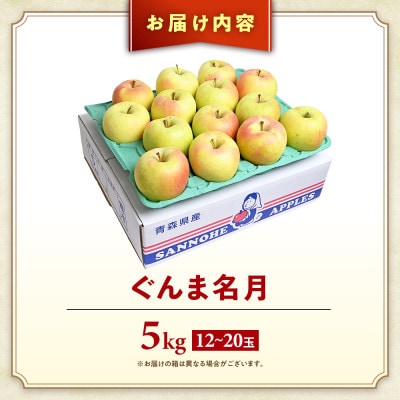 りんご【ぐんま名月】約5kg(12～20玉)【2025年産・先行予約】11月上旬～12月下旬頃発送