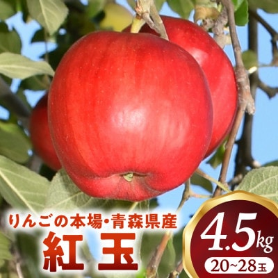 りんご【紅玉】約4.5kg(20～28玉)【2025年産・先行予約】10月中旬～10月下旬頃発送予定