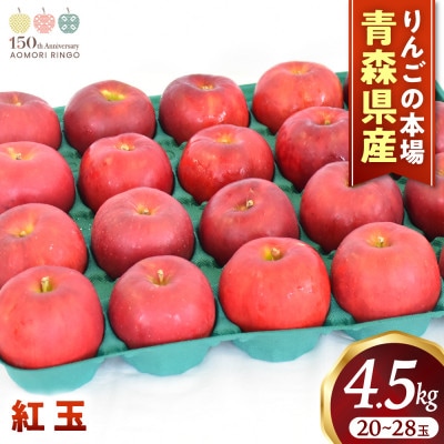 りんご【紅玉】約4.5kg(20～28玉)【2025年産・先行予約】10月中旬～10月下旬頃発送予定