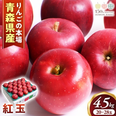りんご【紅玉】約4.5kg(20～28玉)【2025年産・先行予約】10月中旬～10月下旬頃発送予定