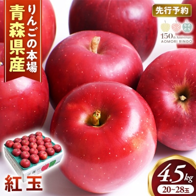 りんご【紅玉】約4.5kg(20～28玉)【2026年産・先行予約】10月中旬～10月下旬頃発送予定