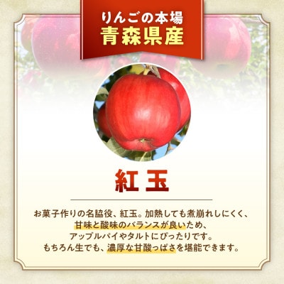 りんご【紅玉】約4.5kg(20～28玉)【2025年産・先行予約】10月中旬～10月下旬頃発送予定