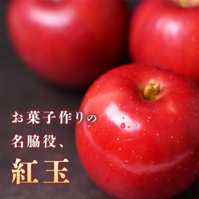 りんご【紅玉】約4.5kg(20～28玉)【2025年産・先行予約】10月中旬～10月下旬頃発送予定